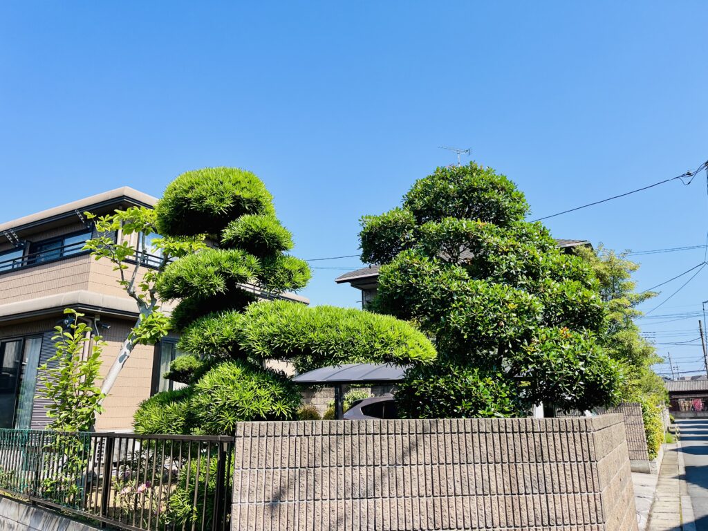 年間管理　施行前