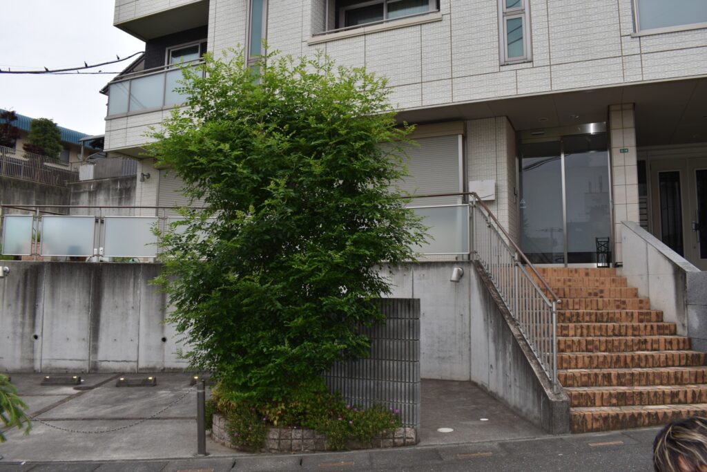 庭づくり 施工前1