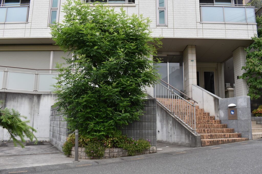 庭づくり 施工前2