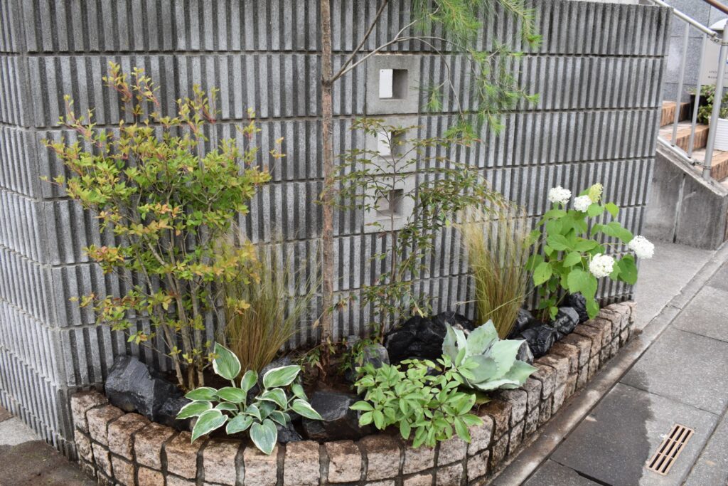 植栽 足元1