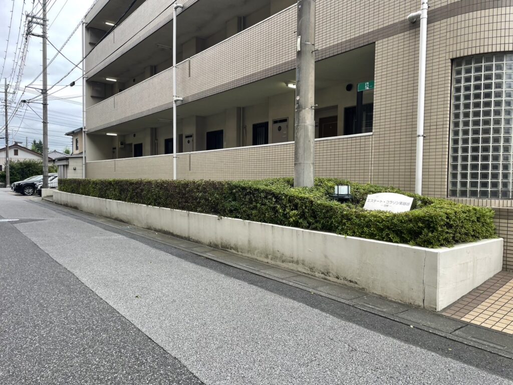 ツツジ 刈込み後2
