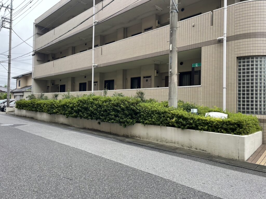 ツツジ 刈込み前1