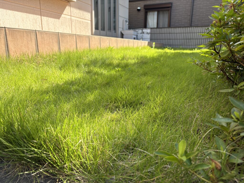 芝刈り前 せんげん台 個人邸