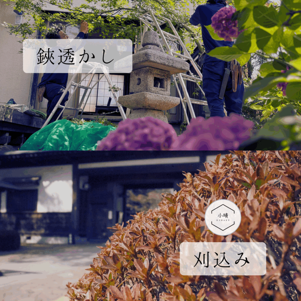 造園業務（剪定）