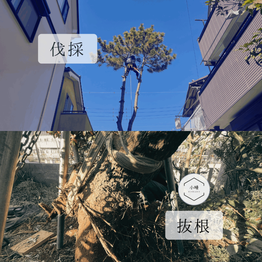 庭の撤去工事