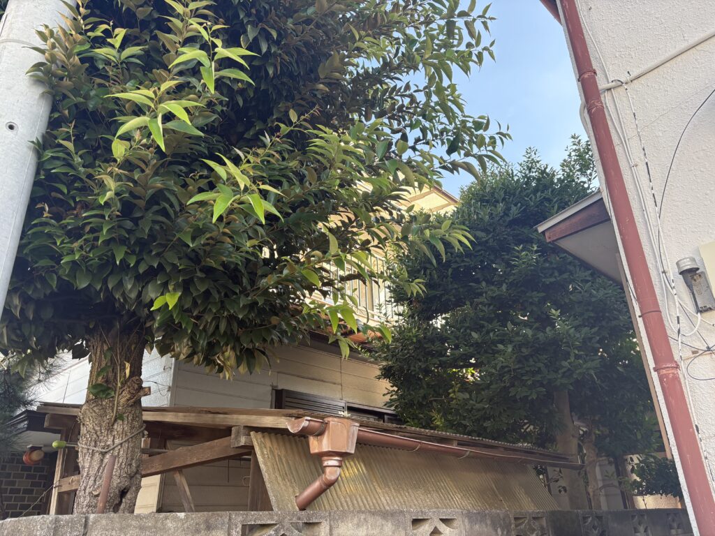 大宮区　個人邸２