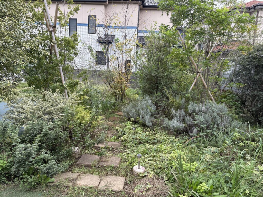 嚥下の通路 施工前