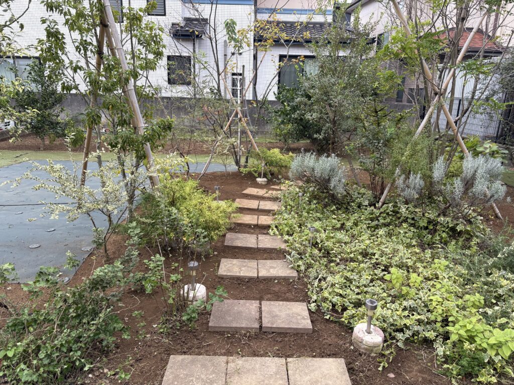 嚥下の通路 施工後