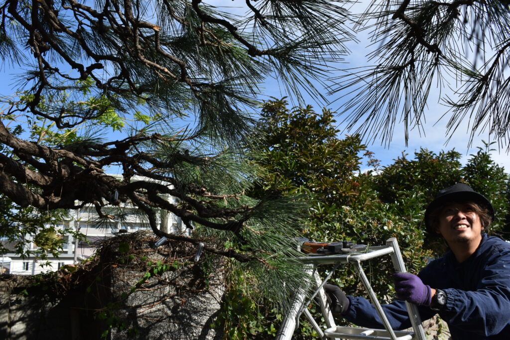 株式会社小晴 代表