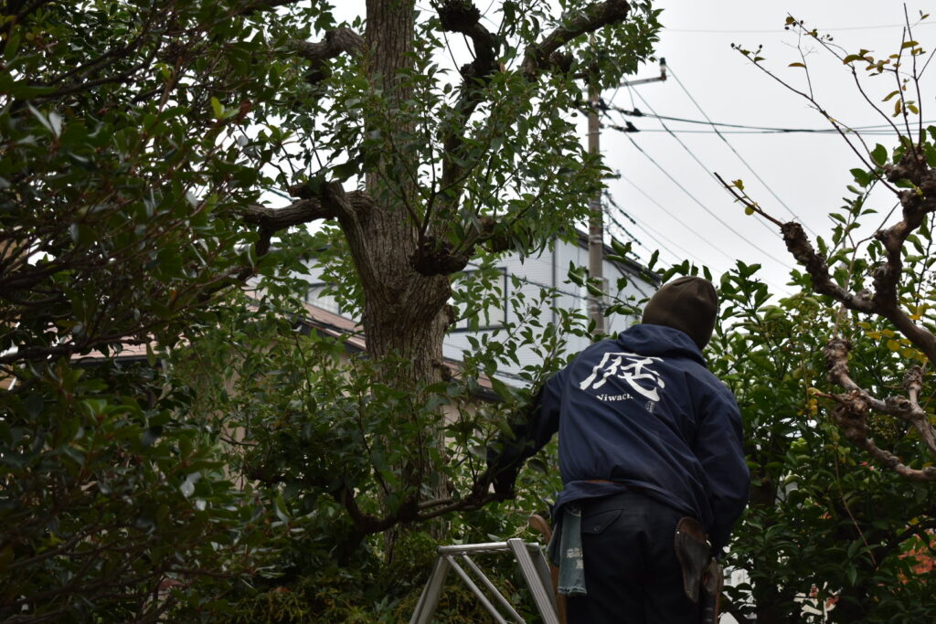 越谷市の植木職人