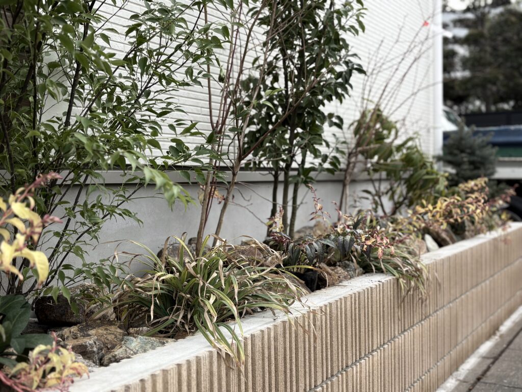 眺めたくなる花壇