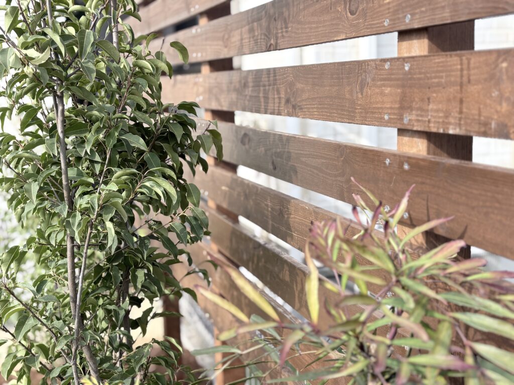 ウッドフェンスと植栽１