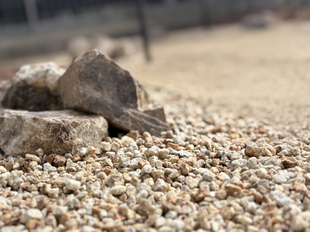 甲賀砂利と小瀬石
