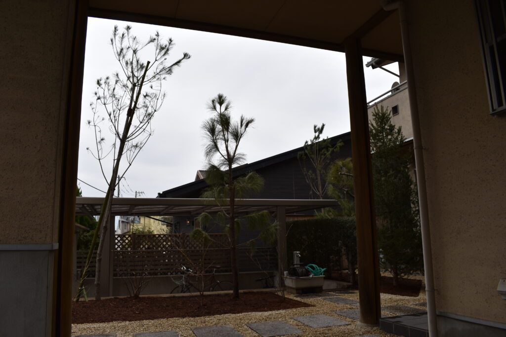 赤松とストローブ松