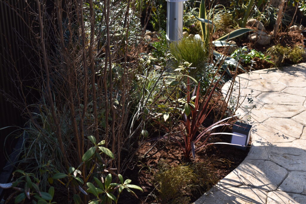 樹木葬の庭　内部２