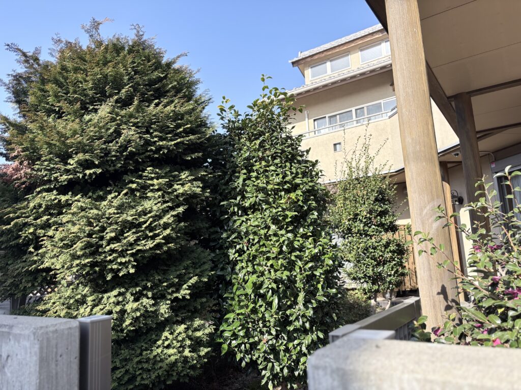 さいたま市　庭　施工前１