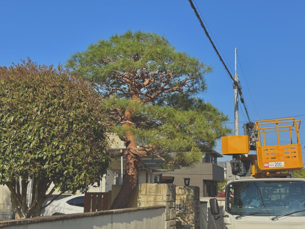 大宮区　赤松　施工後１