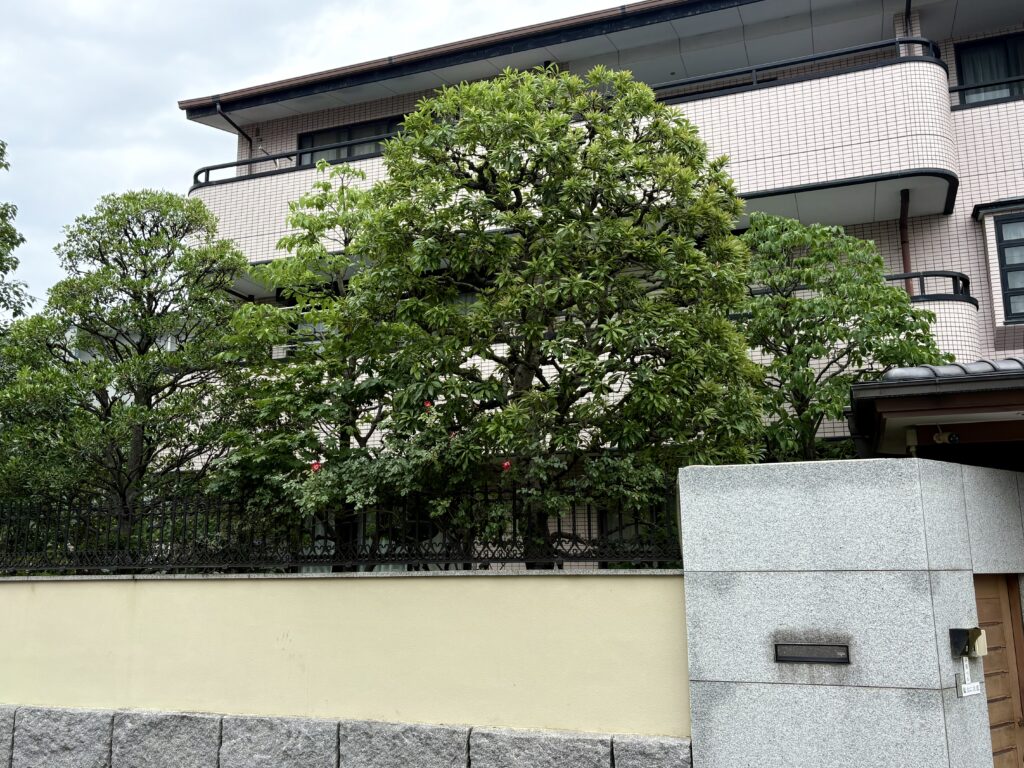 定期管理 和の雑木 外観2