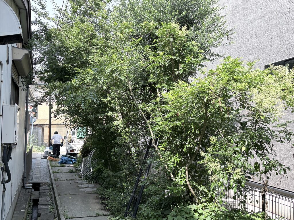 越谷市　雑木に庭　施工前１