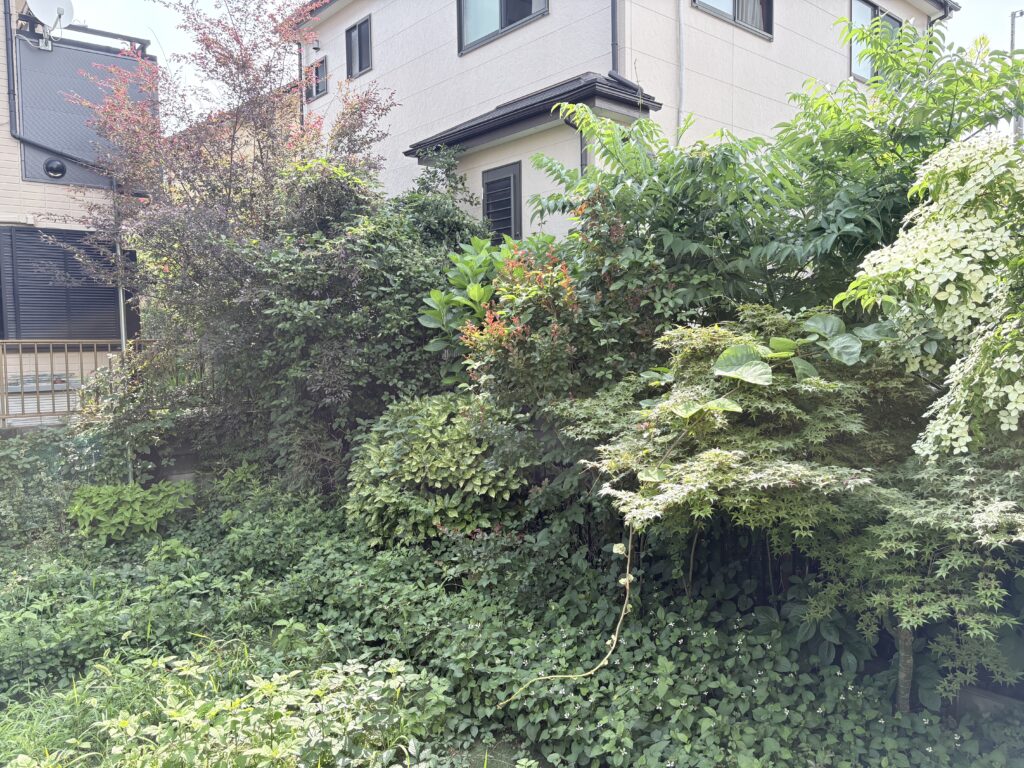 越谷市　雑木に庭　施工前２