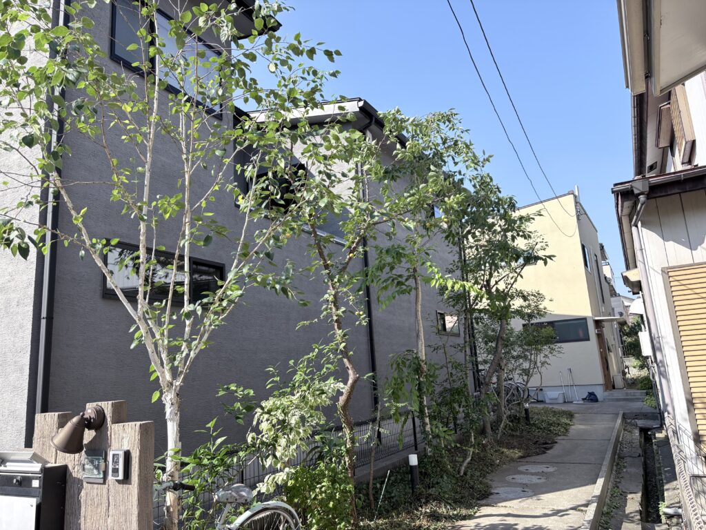 越谷市　雑木に庭　施工後１