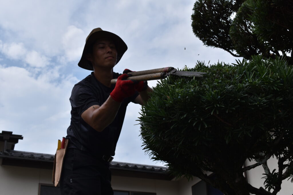 寺院の庭園管理　刈込み