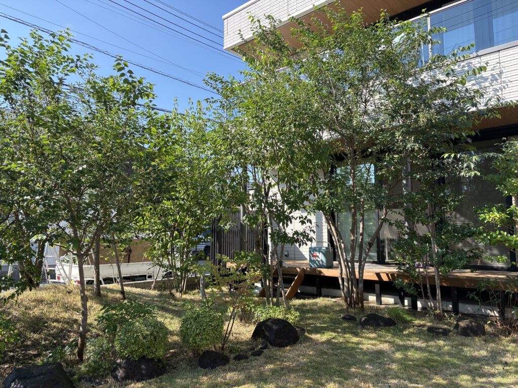 おおたかの森 Y様邸 After
