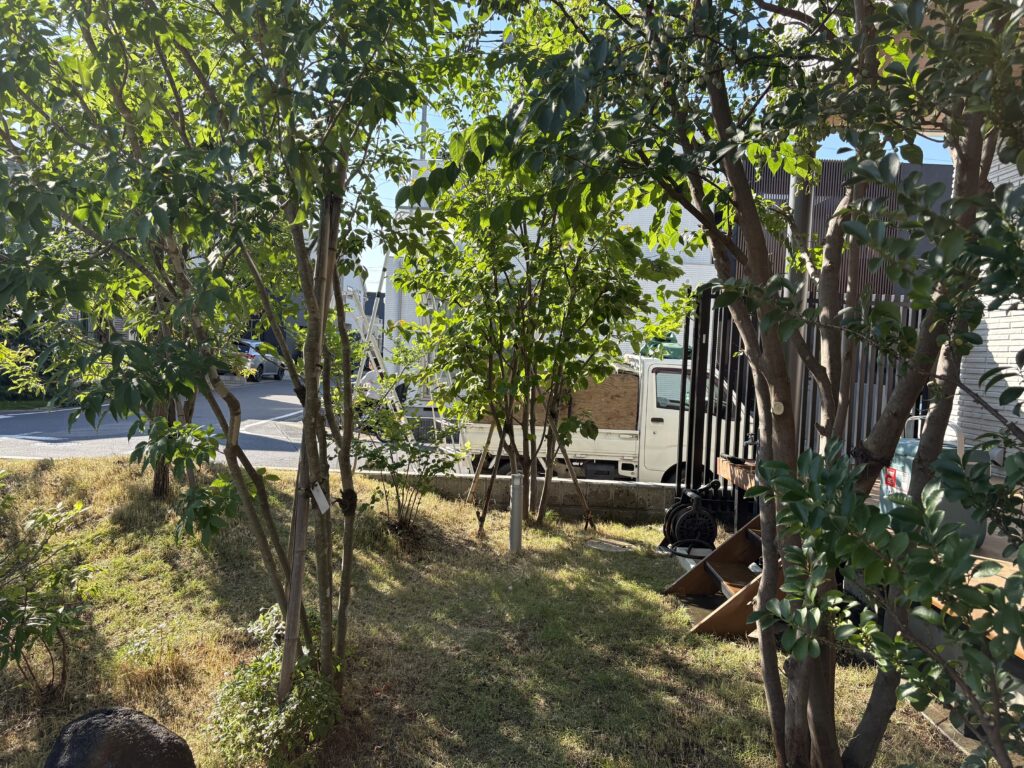 おおたかの森 Y様邸 After2