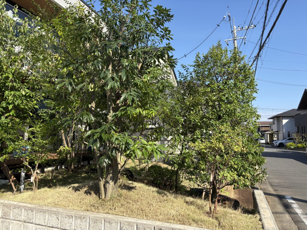 おおたかの森 Y様邸 After3