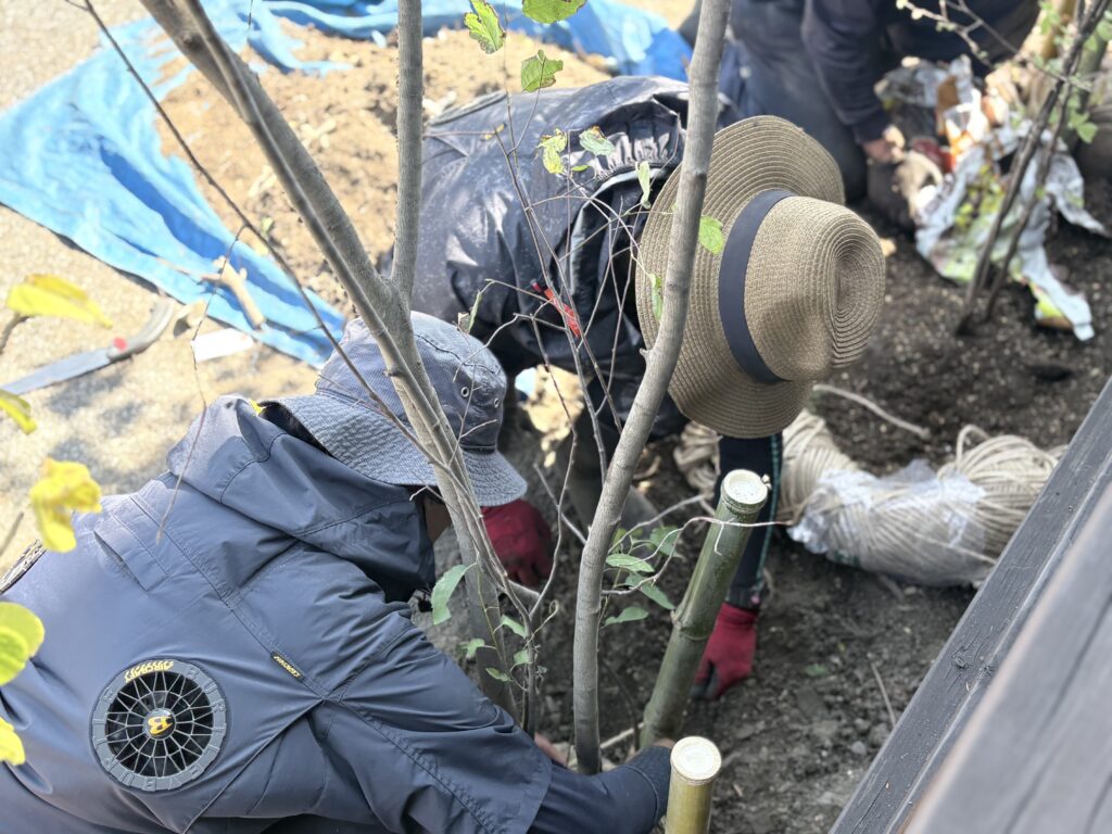 竹を使用した地下支柱